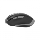 Mouse Omega OMC526 Rechargeable Black/Grey