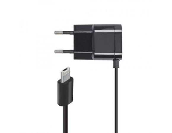 Lighting Wall Charger  Forever + Micro USB 1A