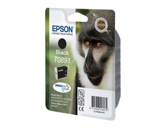 Μελάνι Epson T0891 Black