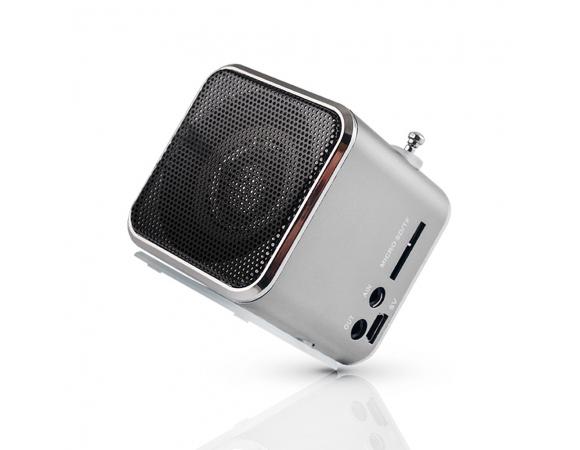 Ηχείο Setty with Radio MF-100 Silver