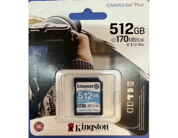 SDXC Kingston Canvas Go Plus 512GB Class 10 U3 V30 UHS-I (SDG3/512GB)