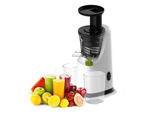 Juicer Platinet Low Speed 120W with Steel Filter